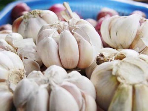 Sức mạnh “thượng thừa” của tỏi